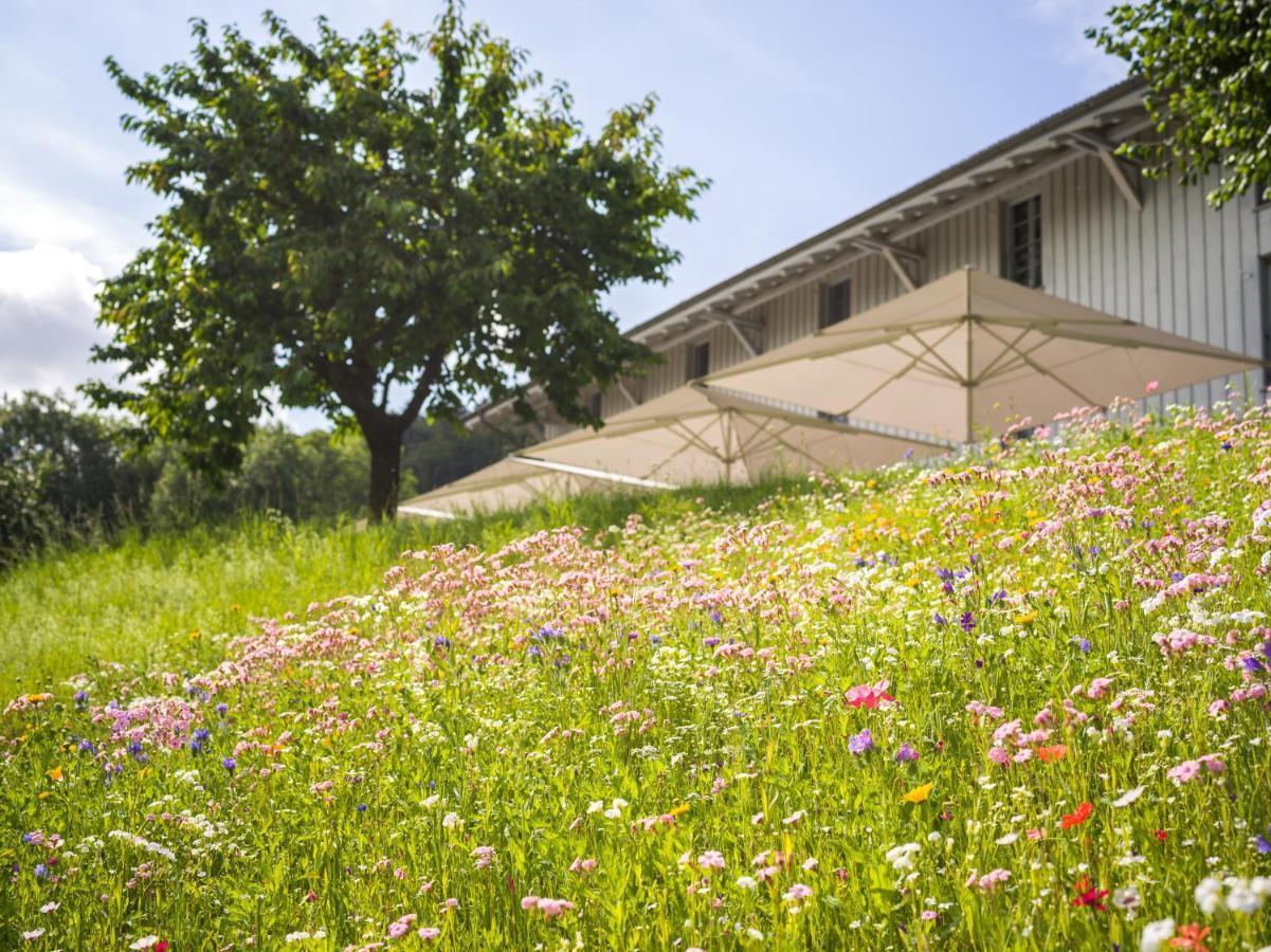 Schloss Freudenfels 埃申茨 外观 照片