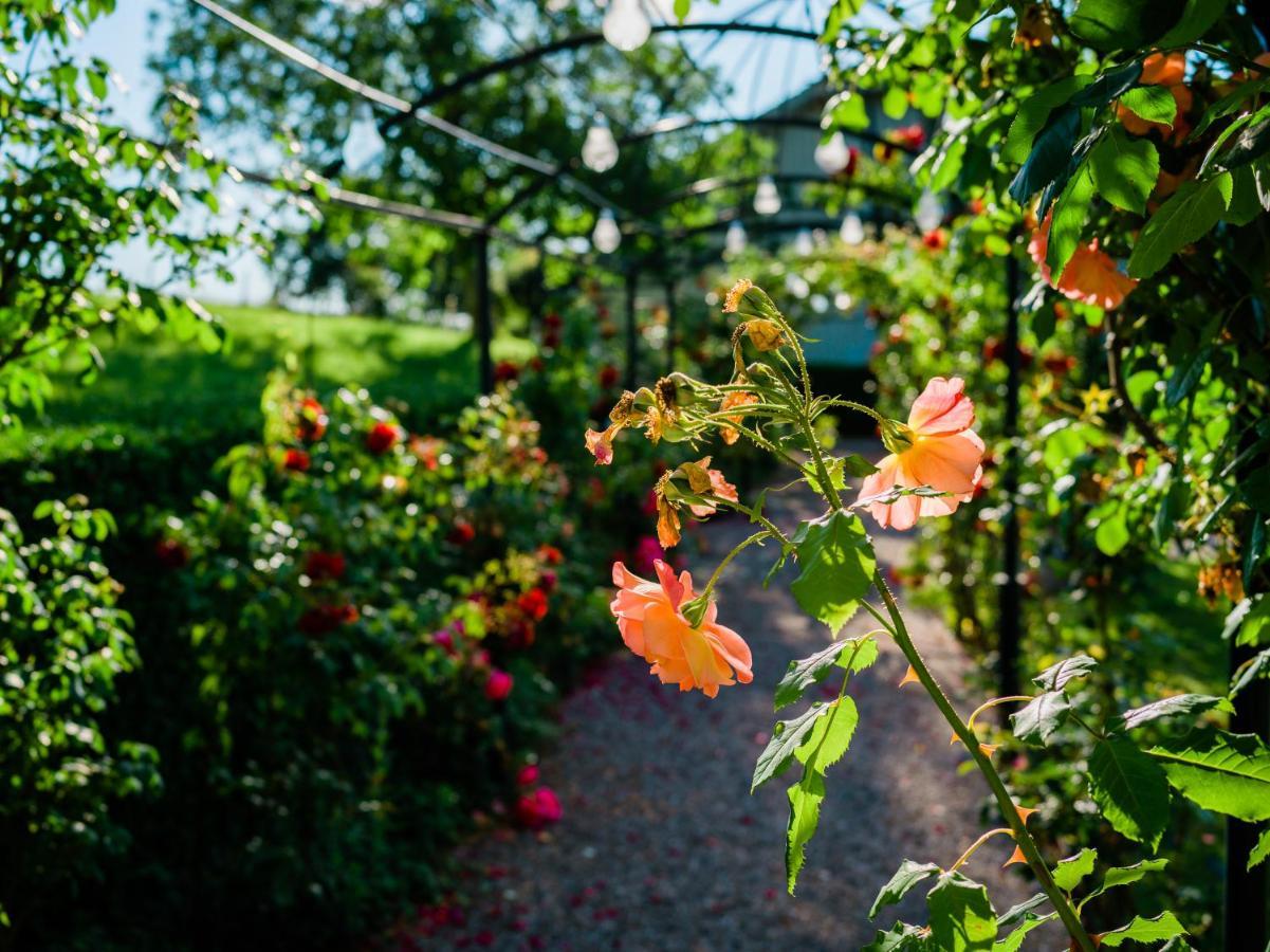 Schloss Freudenfels 埃申茨 外观 照片