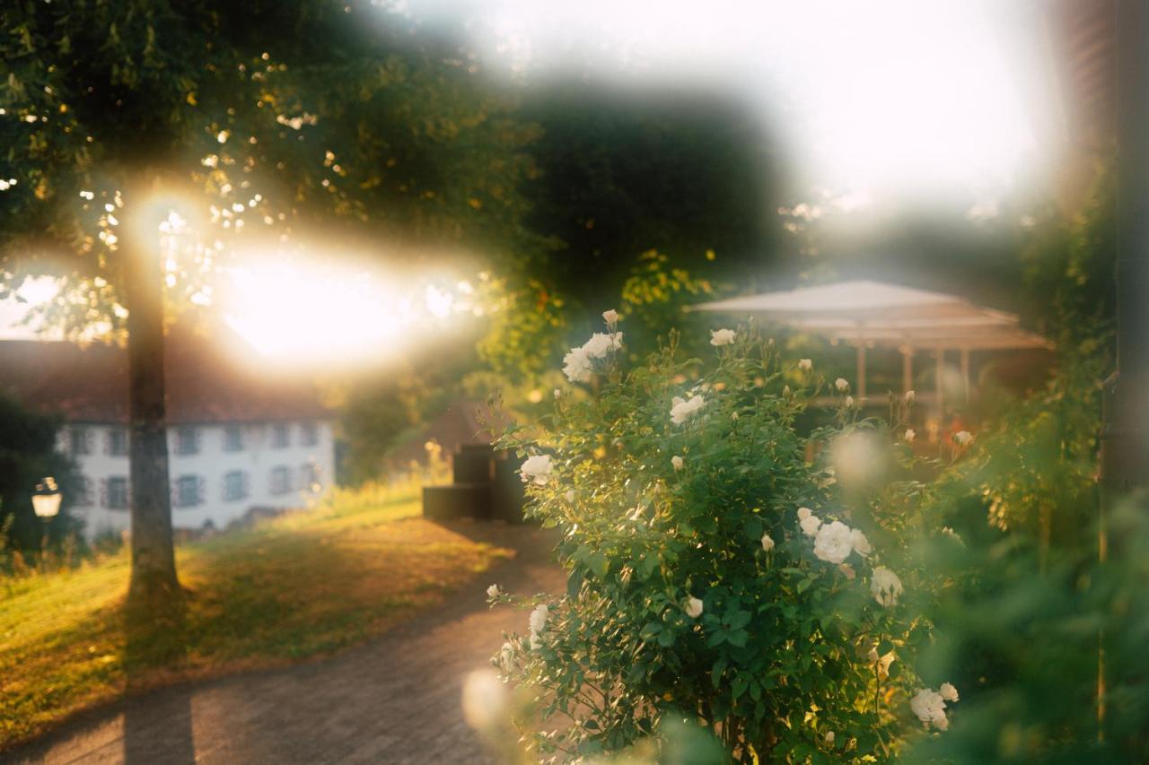 Schloss Freudenfels 埃申茨 外观 照片