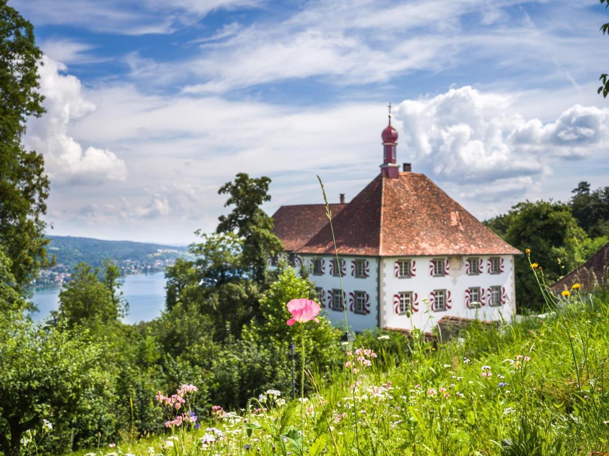 Schloss Freudenfels 埃申茨 外观 照片