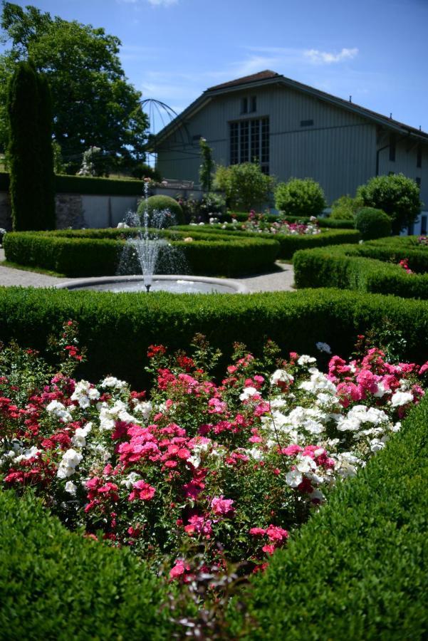 Schloss Freudenfels 埃申茨 外观 照片