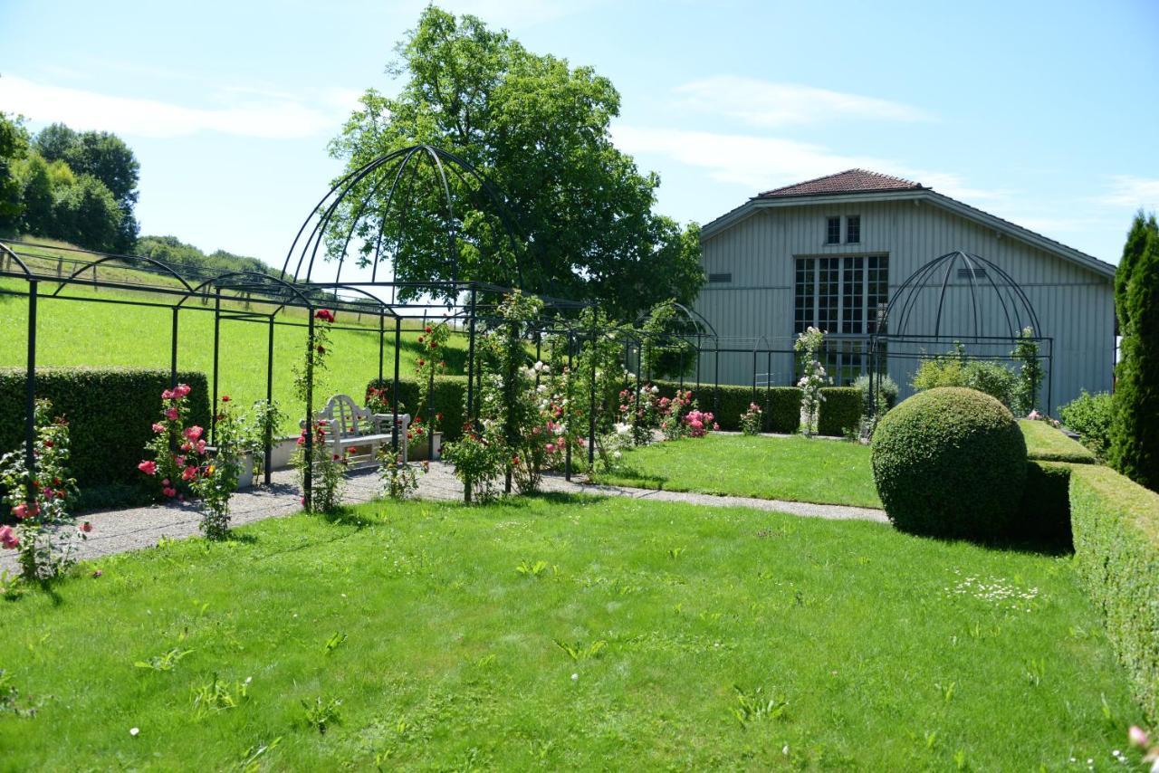 Schloss Freudenfels 埃申茨 外观 照片