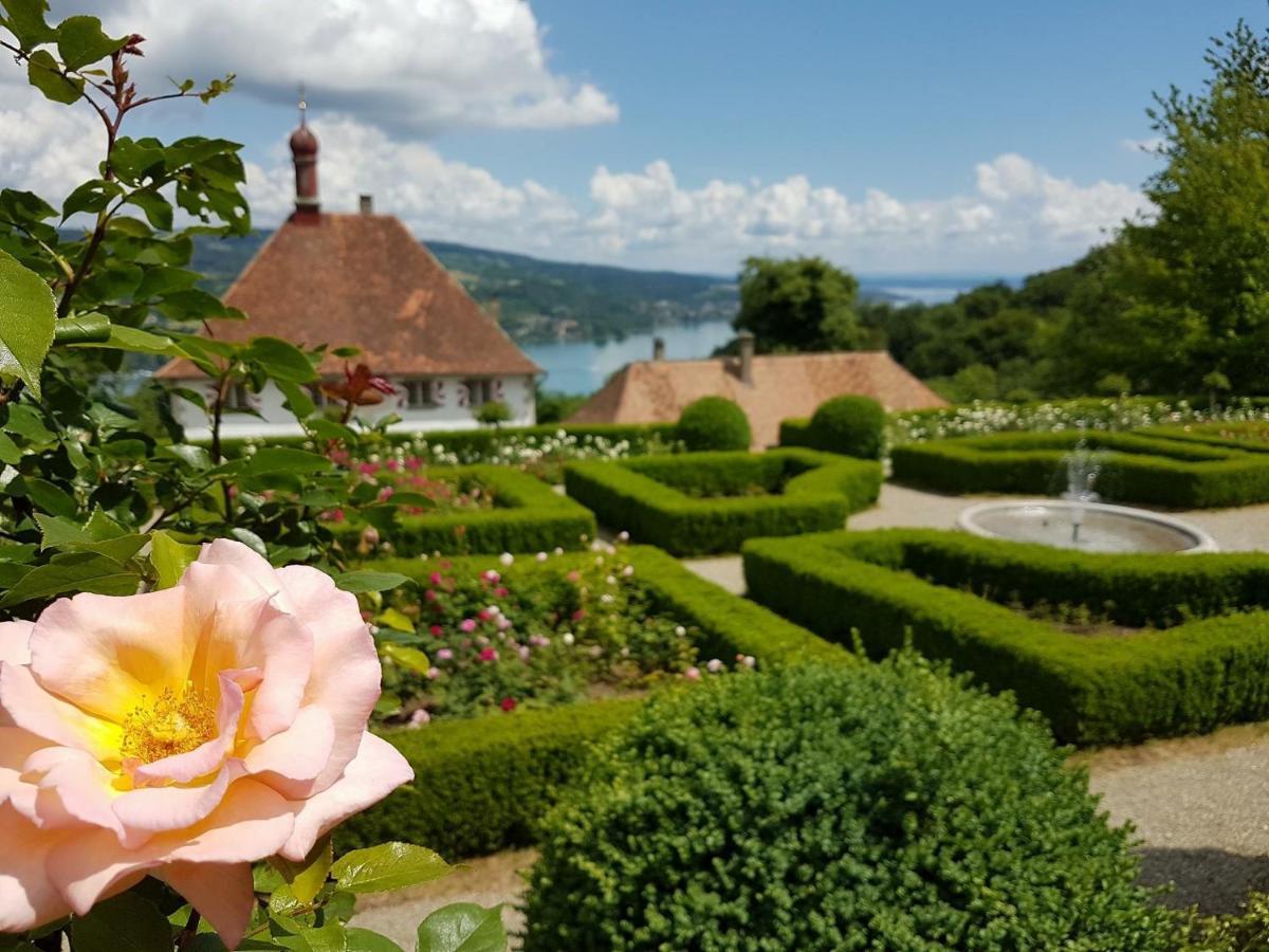 Schloss Freudenfels 埃申茨 外观 照片