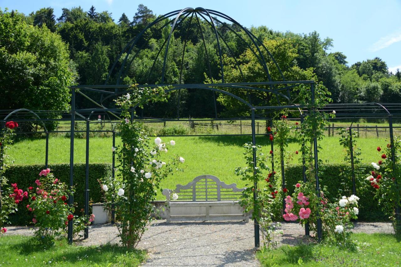 Schloss Freudenfels 埃申茨 外观 照片