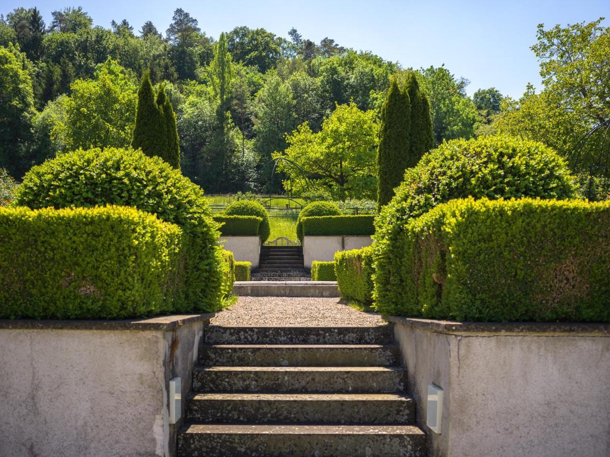 Schloss Freudenfels 埃申茨 外观 照片