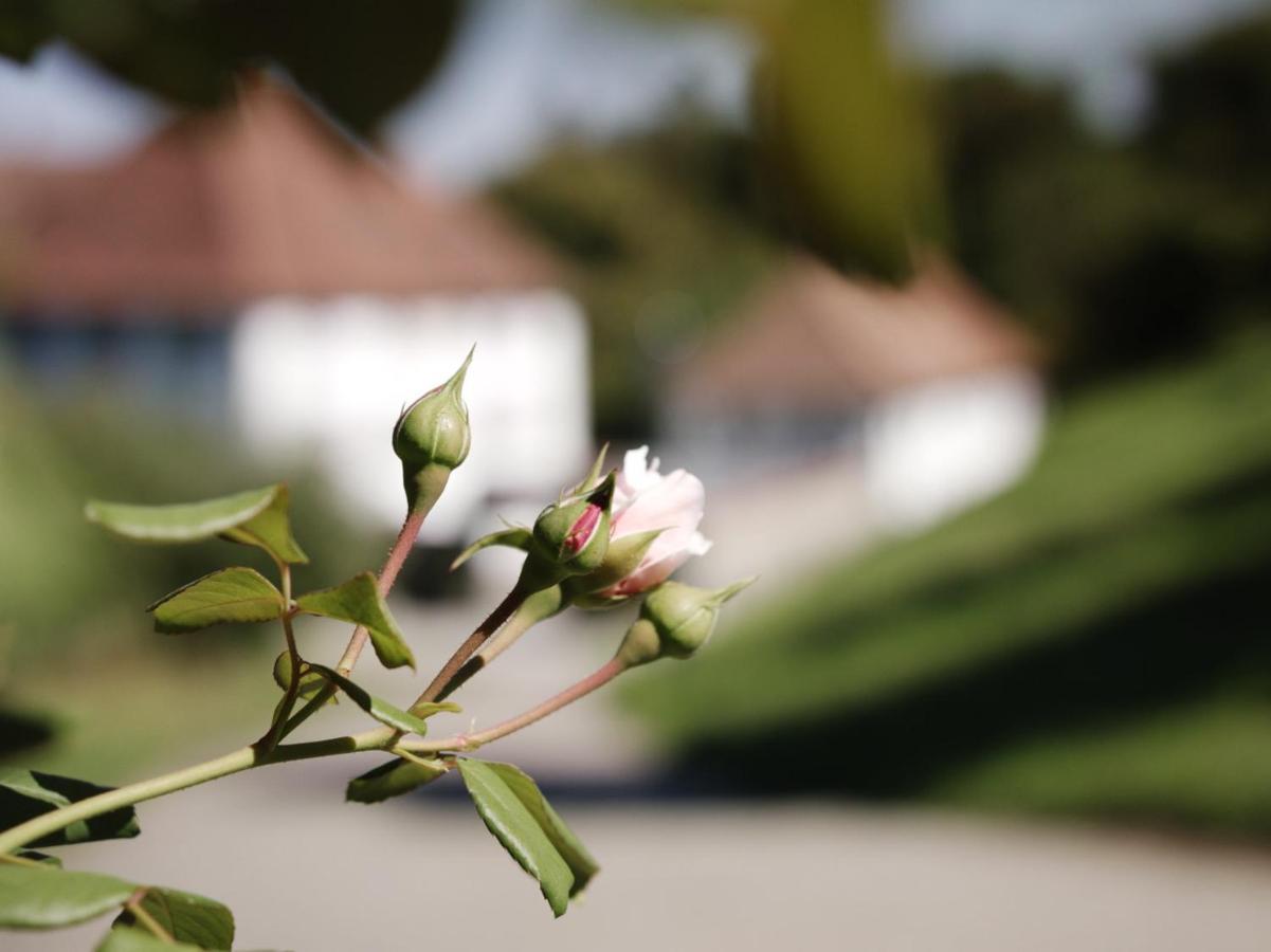 Schloss Freudenfels 埃申茨 外观 照片